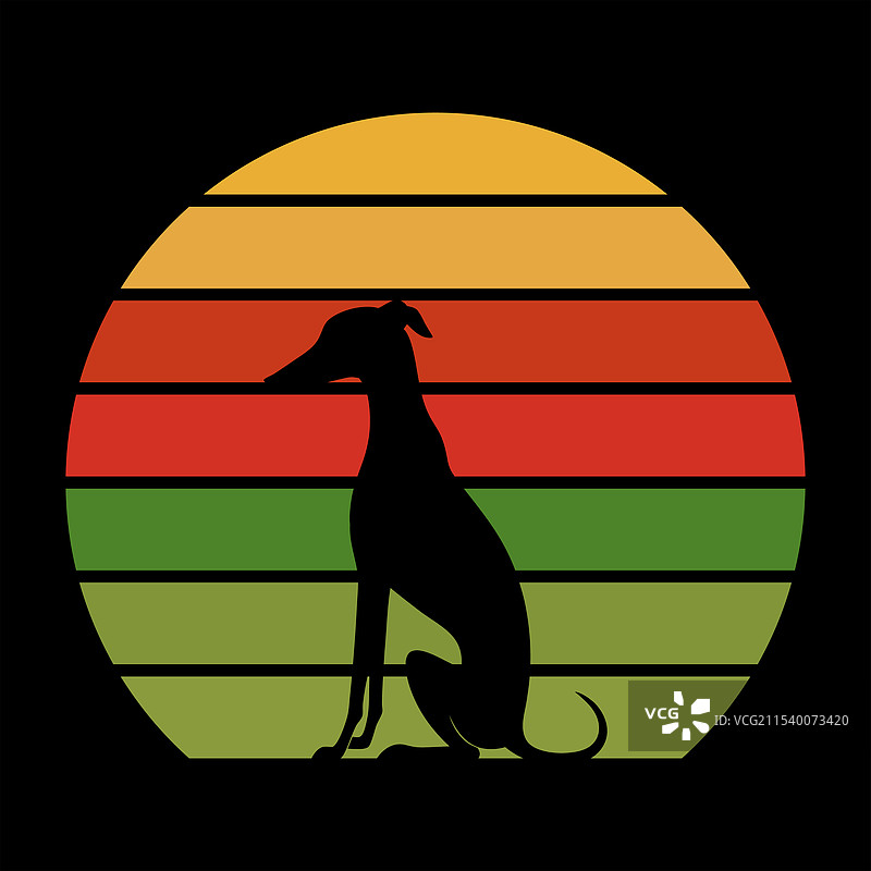 复古日落中的惠比特犬图片素材