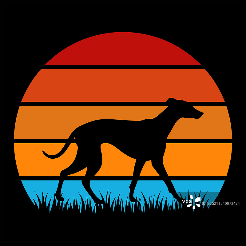 复古日落中的惠比特犬图片素材