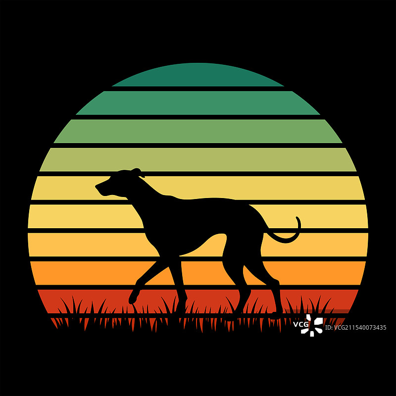 复古日落中的威尔士猎犬图片素材