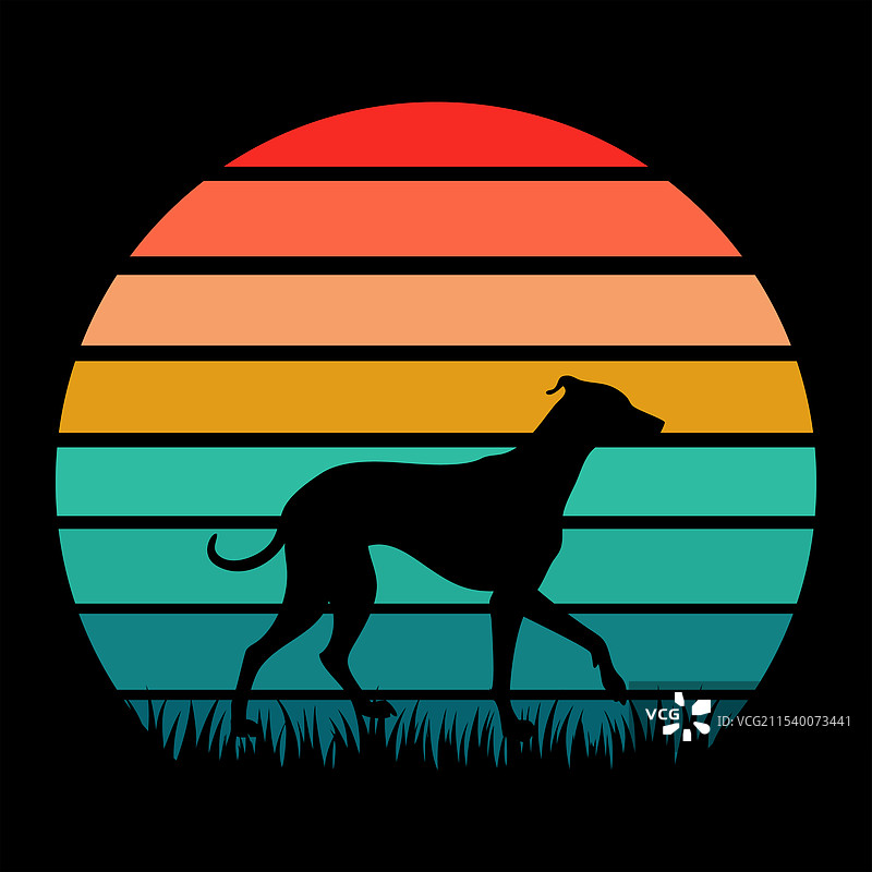 复古日落中的惠比特犬图片素材