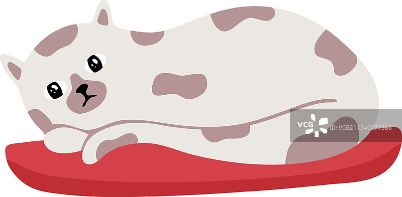 白色猫咪身上有灰色斑点，舒适地休息在一个上面图片素材