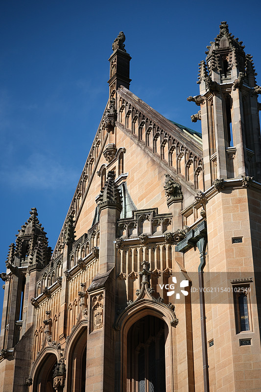 悉尼大学的蓝花楹图片素材