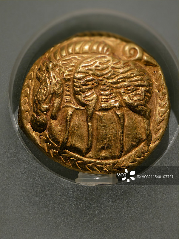 野猪纹圆形金饰图片素材