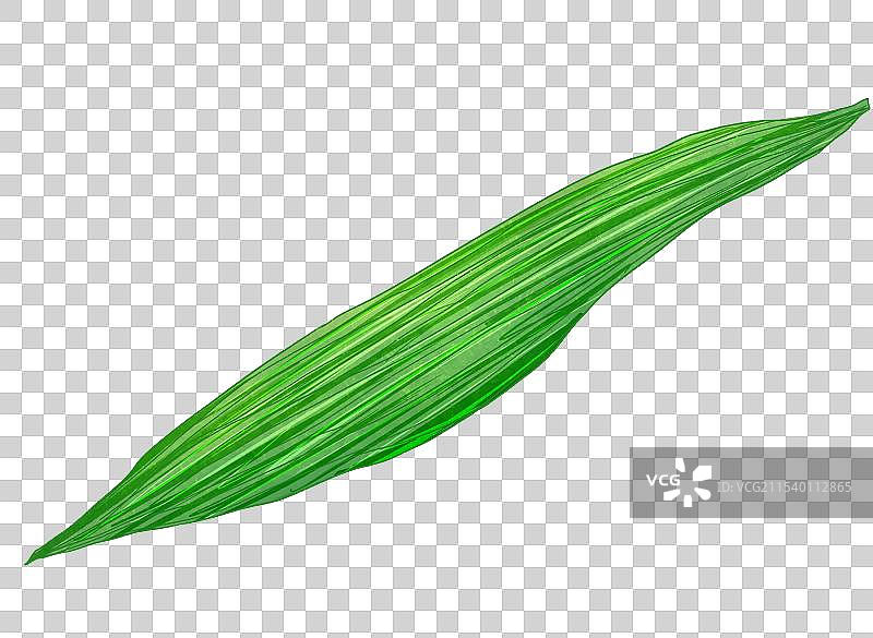 粽子叶图片素材