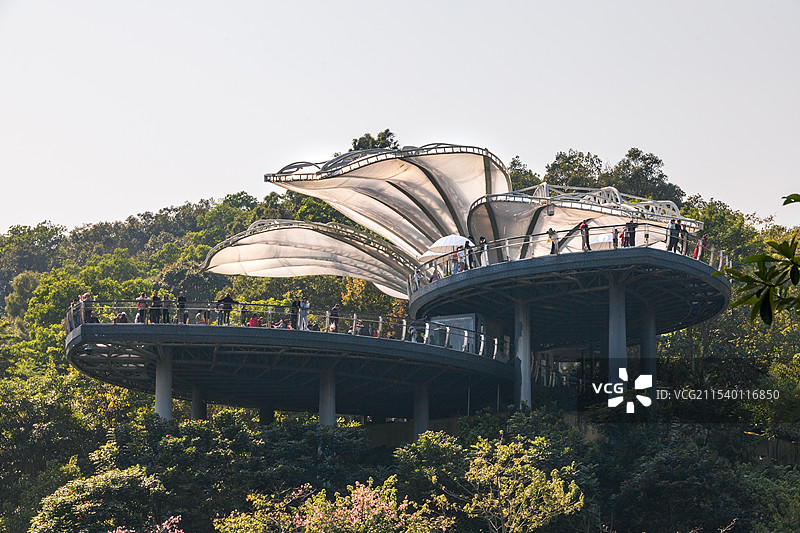 云萝植物园观景台：木棉台图片素材