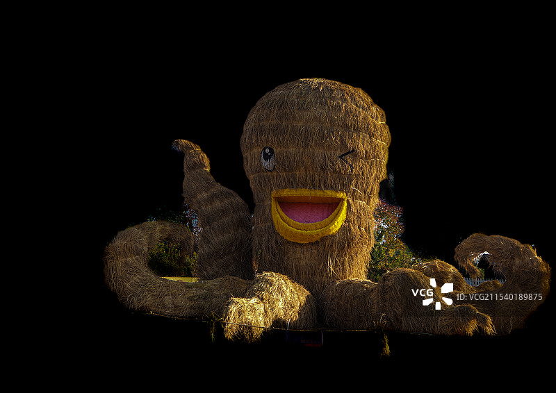 祥源花世界_稻草人图片素材