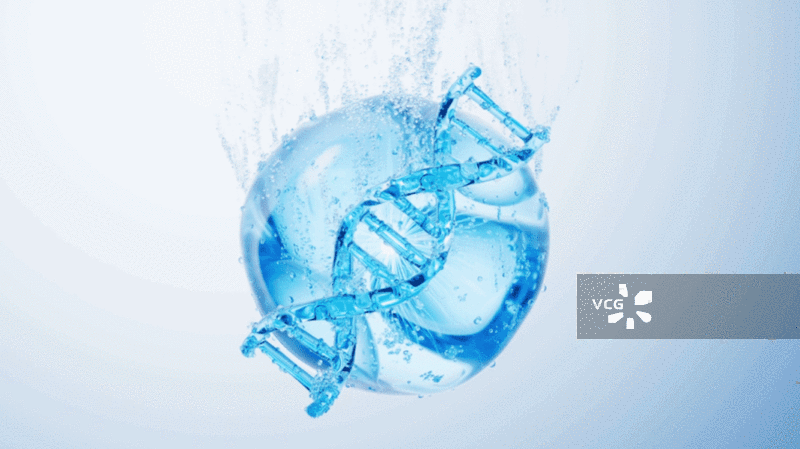 透明水珠气泡与生物DNA基因三维渲染图片素材