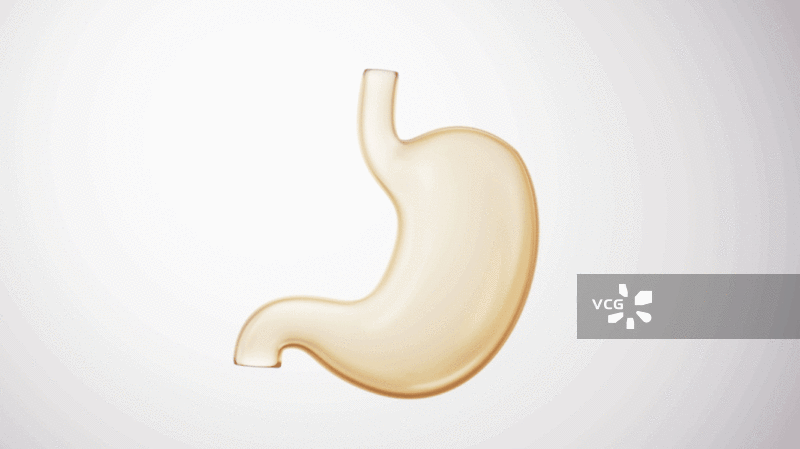 金色透明胃部器官循环动画三维渲染图片素材