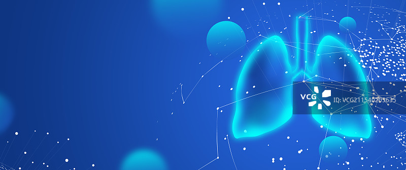 蓝色透明扫描人体内脏器官五脏六腑插画模板背景图片素材