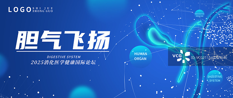 蓝色透明扫描人体内脏器官五脏六腑插画模板背景图片素材