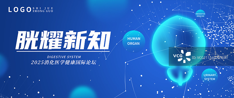 蓝色透明扫描人体内脏器官五脏六腑插画模板背景图片素材