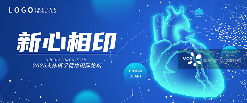 蓝色透明扫描人体内脏器官五脏六腑插画模板背景图片素材