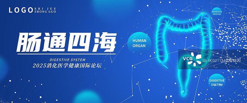 蓝色透明扫描人体内脏器官五脏六腑插画模板背景图片素材