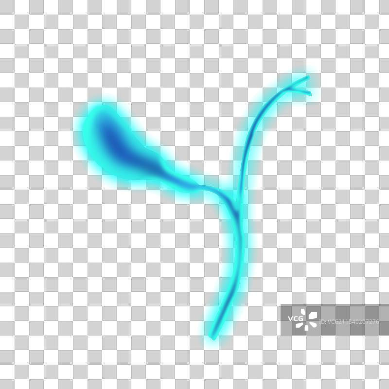 蓝色透明扫描人体内脏器官五脏六腑插画模板背景图片素材