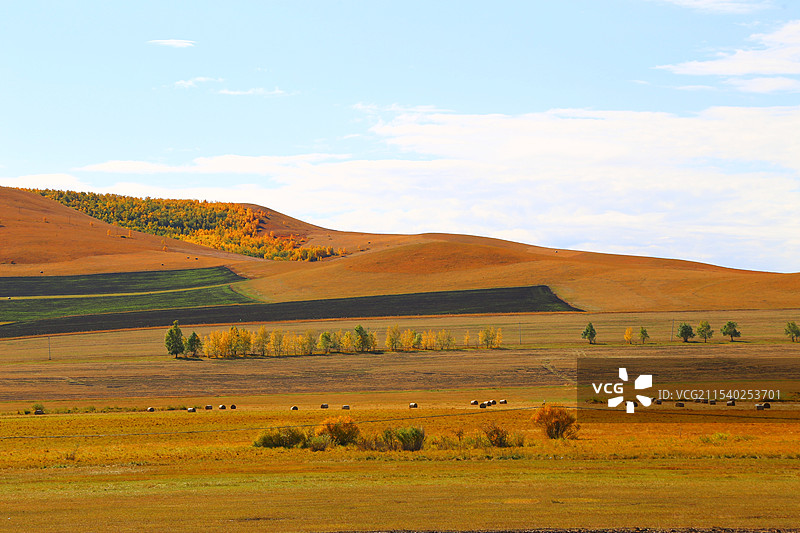 秋天的呼伦贝尔卡线风光大地的色彩图片素材