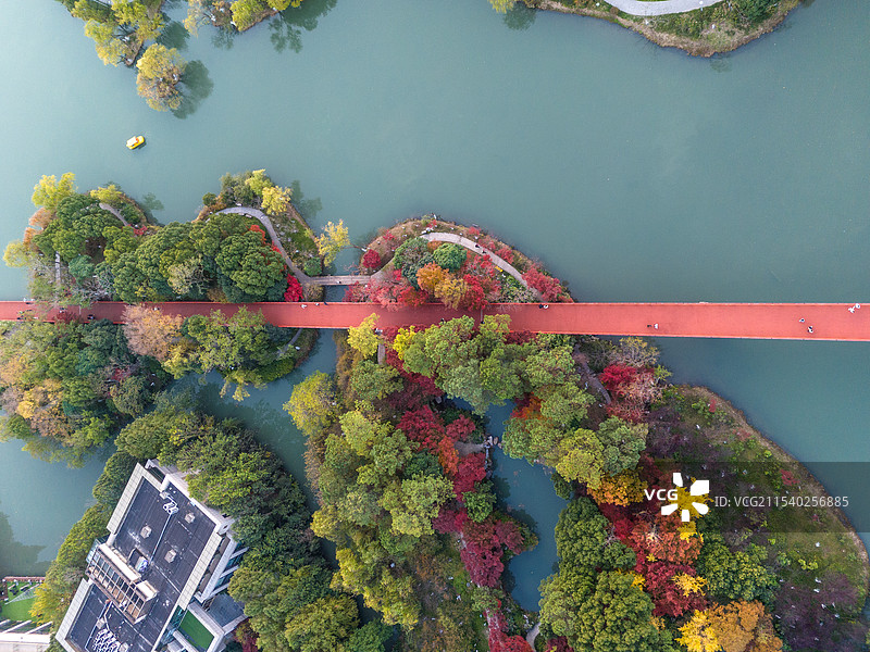 江苏省常州市钟楼区国家4A级旅游景区青枫公园的夏日黄昏风光航拍全景图片素材