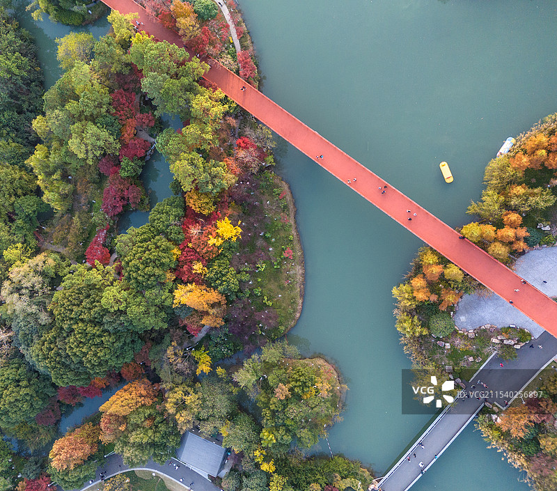 江苏省常州市钟楼区国家4A级旅游景区青枫公园的夏日黄昏风光航拍全景图片素材