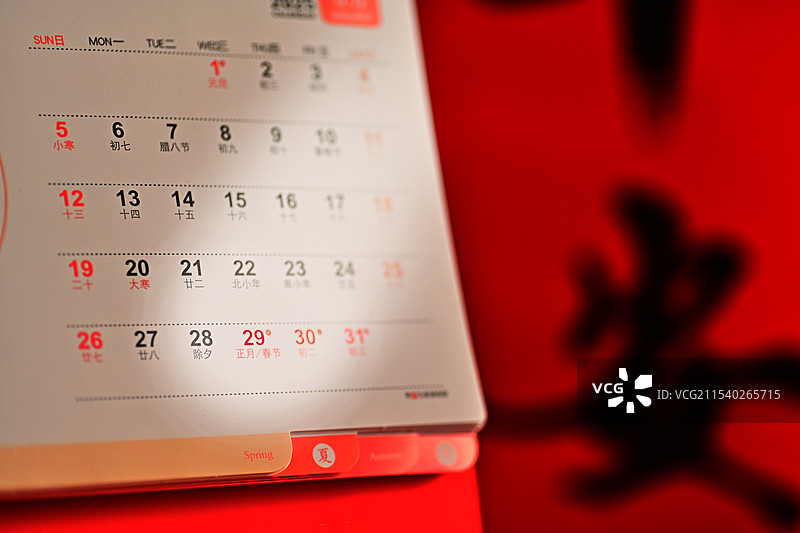 中国传统节日蛇年春节日历正月初一图片素材