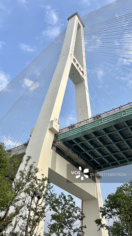 上海徐浦大桥，三林滨江绿地图片素材