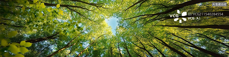 【AI数字艺术】仰望茂密的森林树冠，生机勃勃的绿叶和惊人的细节，展示大自然的美丽，高清完美的构图捕捉到了荒野的宁静和图片素材