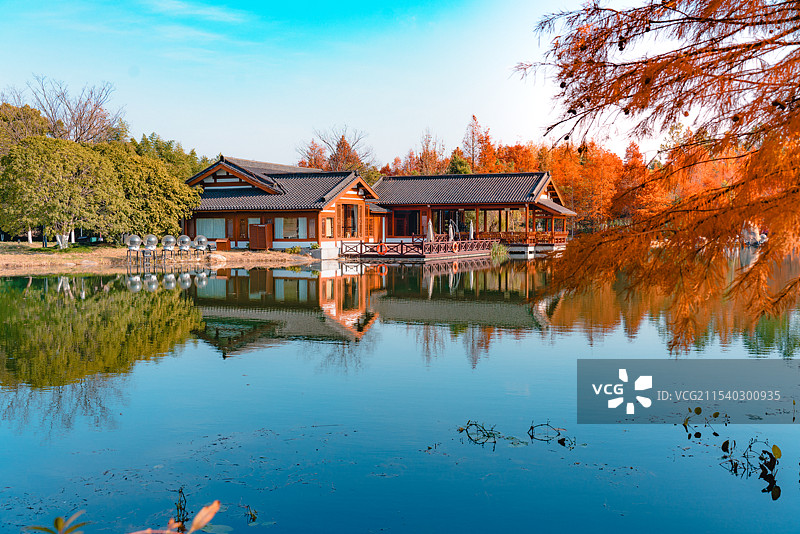 常熟尚湖风景区水上森林景观和风景图片素材