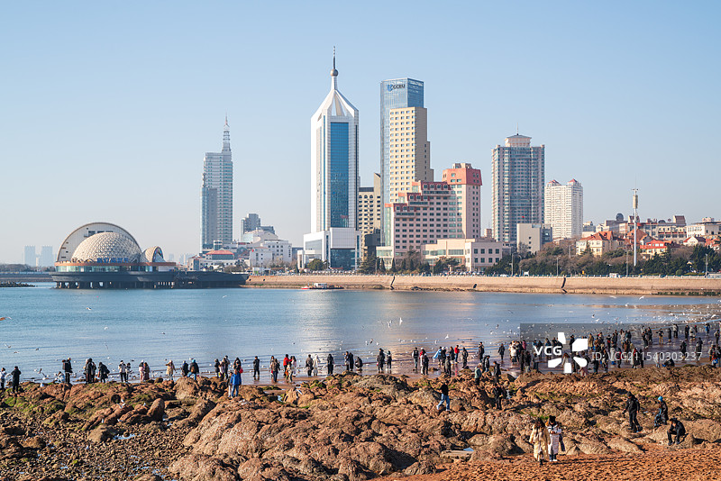 山东青岛海边看海鸥图片素材