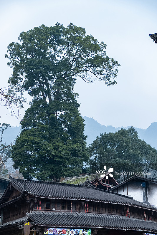 四川成都都江堰青城后山泰安古镇图片素材