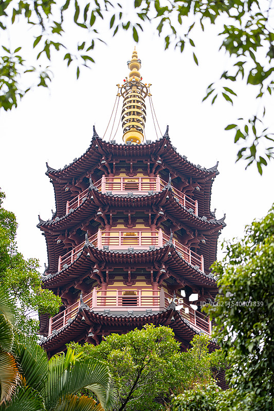 深圳龙华公园里的龙华塔图片素材