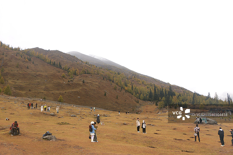 阿坝州旅游--四姑娘山图片素材