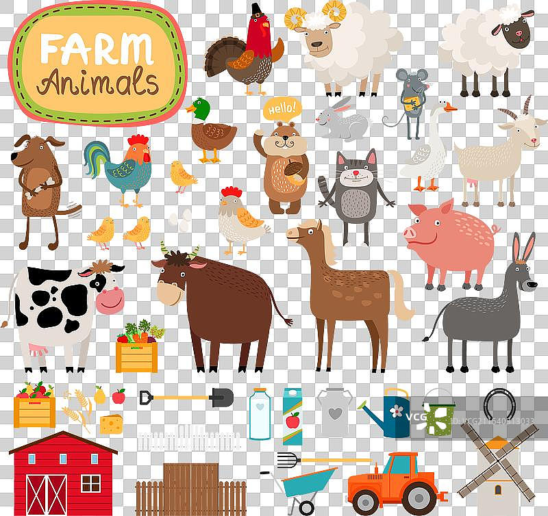 农场动物图片素材