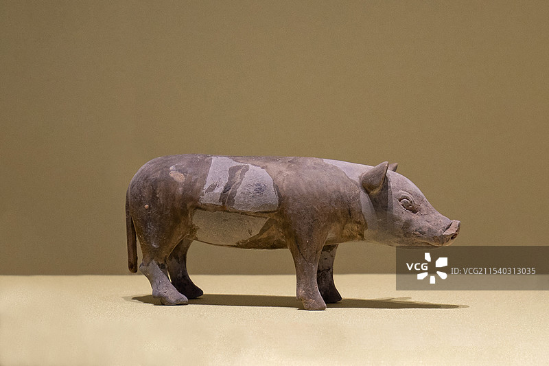 陶乳猪 西汉 汉景帝阳陵博物院图片素材