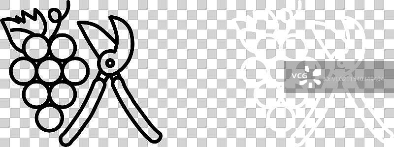 修剪葡萄图标集 葡萄酒植物剪刀符号图片素材