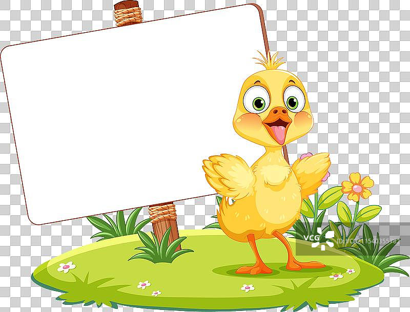可爱的黄色小鸡站在空白的标牌旁边图片素材
