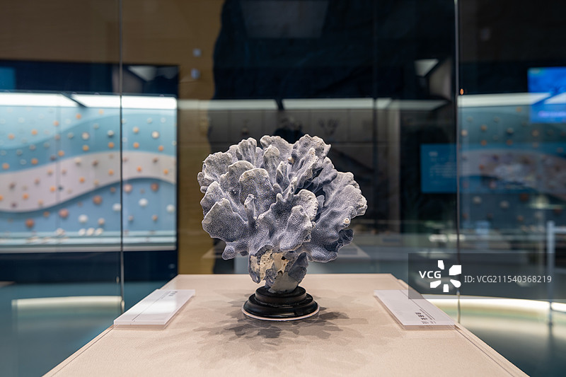 中国航海博物馆图片素材