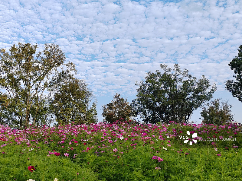 自然风景图片素材