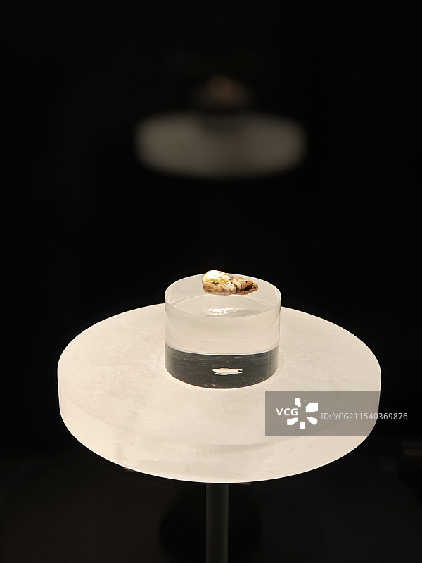 建德人牙齿化石图片素材