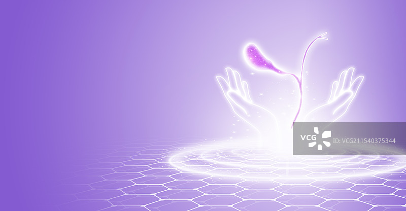 紫色星空透明扫描人体内脏器官五脏六腑插画模板背景图片素材