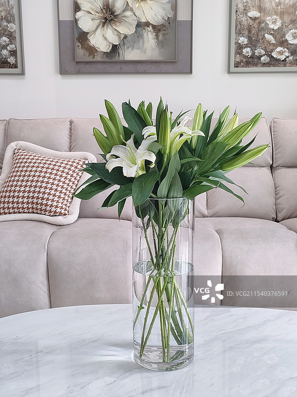 百合花图片素材