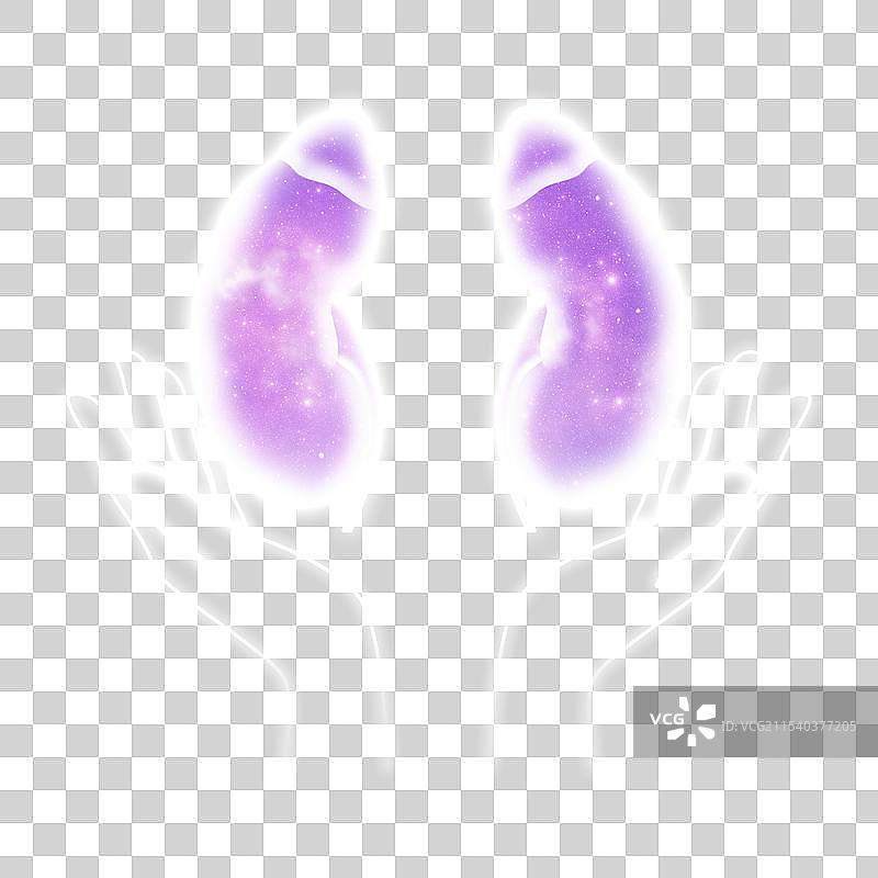 紫色星空透明扫描人体内脏器官五脏六腑插画元素图片素材