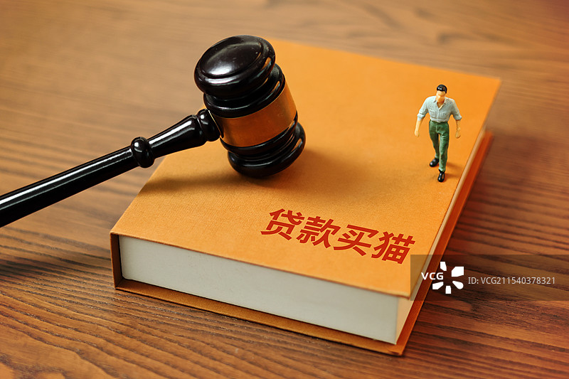 贷款买猫图片素材