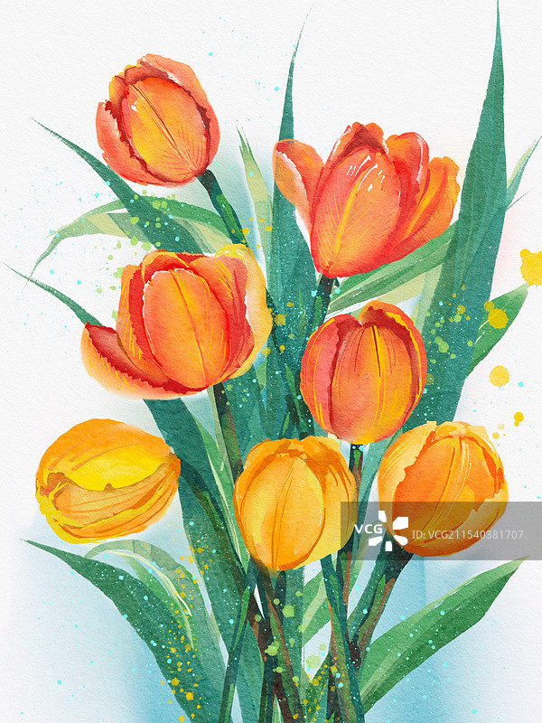 水彩花卉——郁金香图片素材