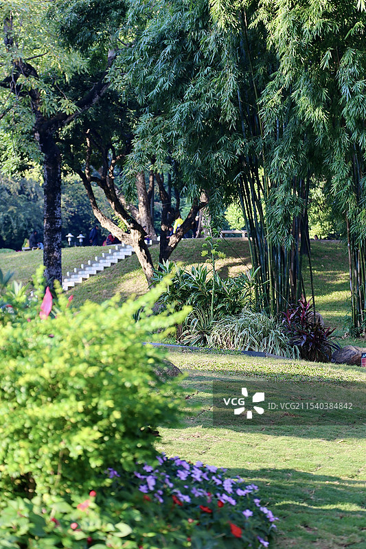 中山公园盛夏庭院草木繁茂图片素材