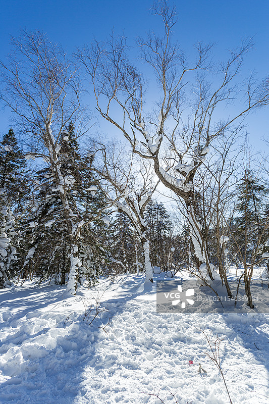 牡丹江海林市双峰林场老爷岭冰雪景观图片素材