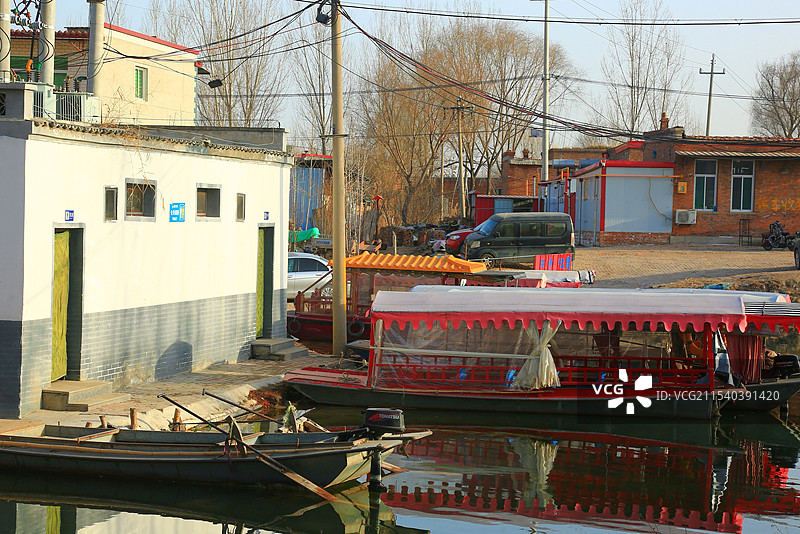 枯荷芦苇冰无限，群群野鸭深水滩蓝天白云寒风摇，雄安画卷宏图展郭里口图片素材
