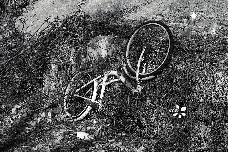 杂草上的自行车图片素材