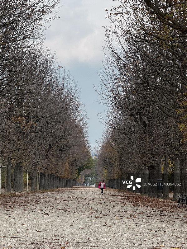 初冬维也纳图片素材