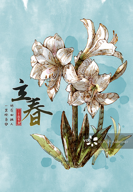 立春节气水彩百合花图片素材
