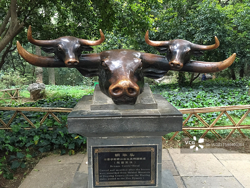 昆明金殿风景区 青铜文化园 铜牛头雕塑图片素材