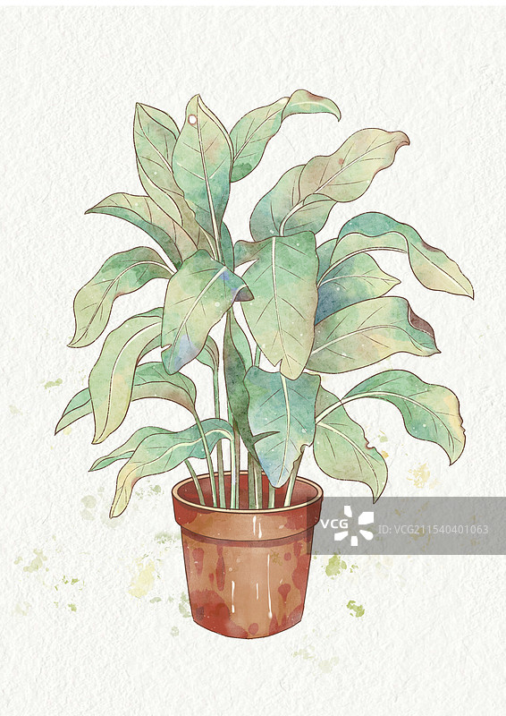 植物水彩插画图片素材