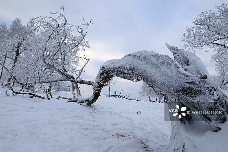 冰雪奇缘图片素材